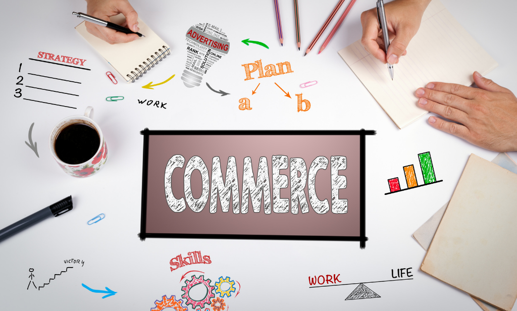 Opportunities of Career Building in the Commerce Domain
